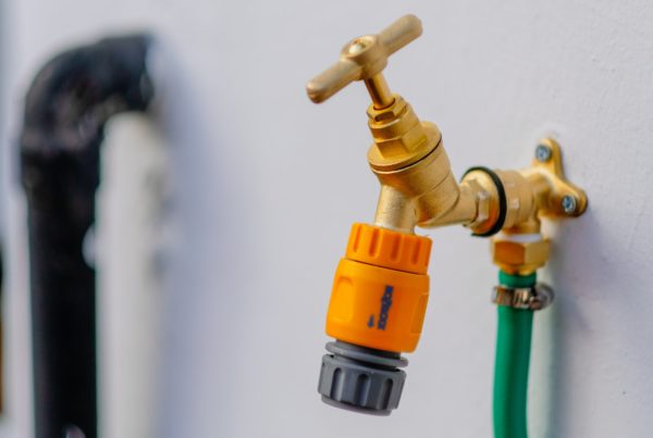 6 wichtig Tipps für die richtige Bewässerung