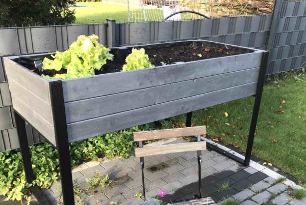 Vorteile eines Hochbeets