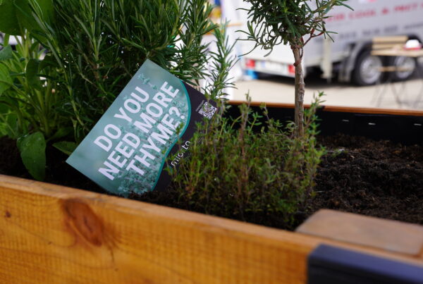 Kräuter Hochbeet von miorto