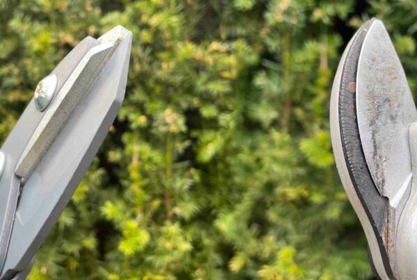 Bypass oder Amboss Astschere