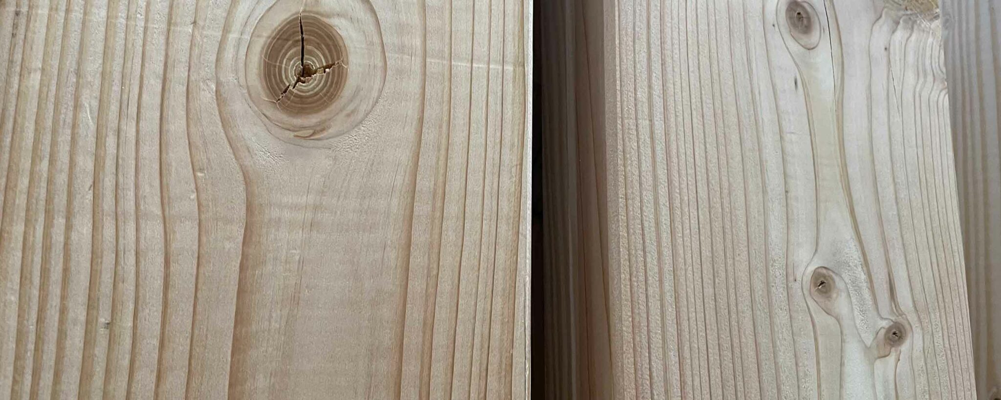 Welches Holz für Hochbeete? Alles über Lärche, Kiefer, Fichte und Co.