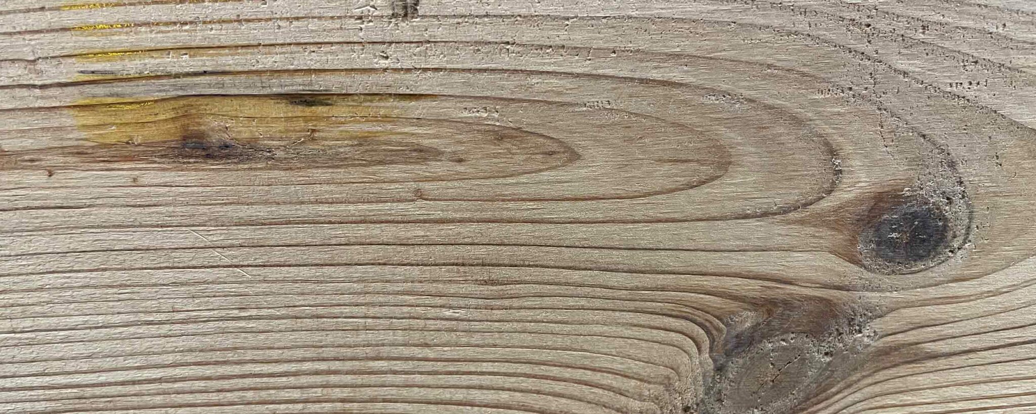 Welches Holz für Hochbeete? Alles über Lärche, Kiefer, Fichte und Co.