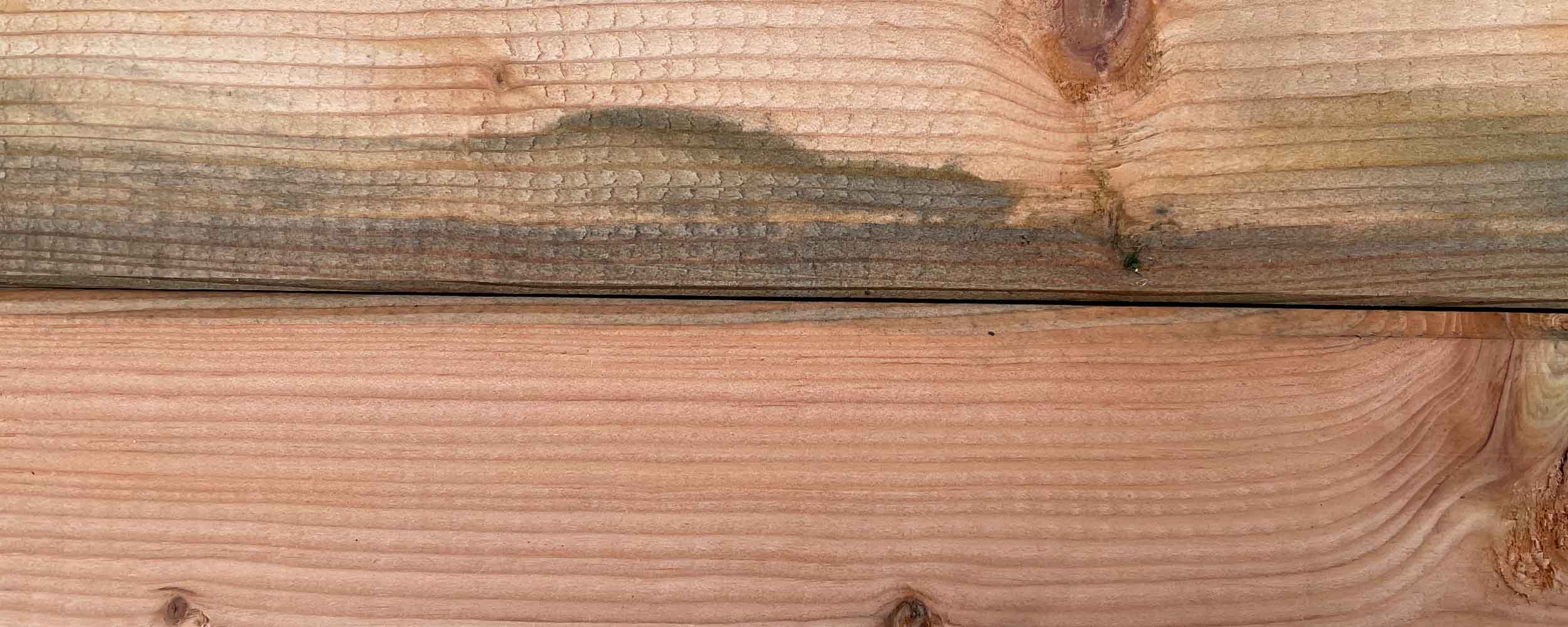 Lärche als Holz für Hochbeete