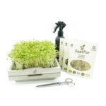 Microgreen Starter Set M