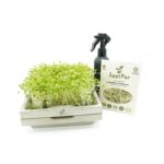 Microgreen Starter Set S